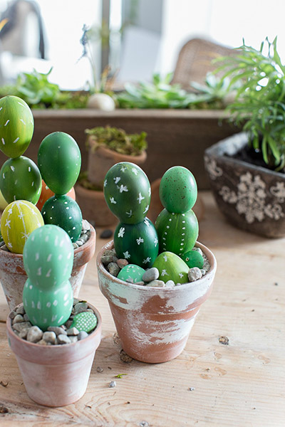 Cactuses